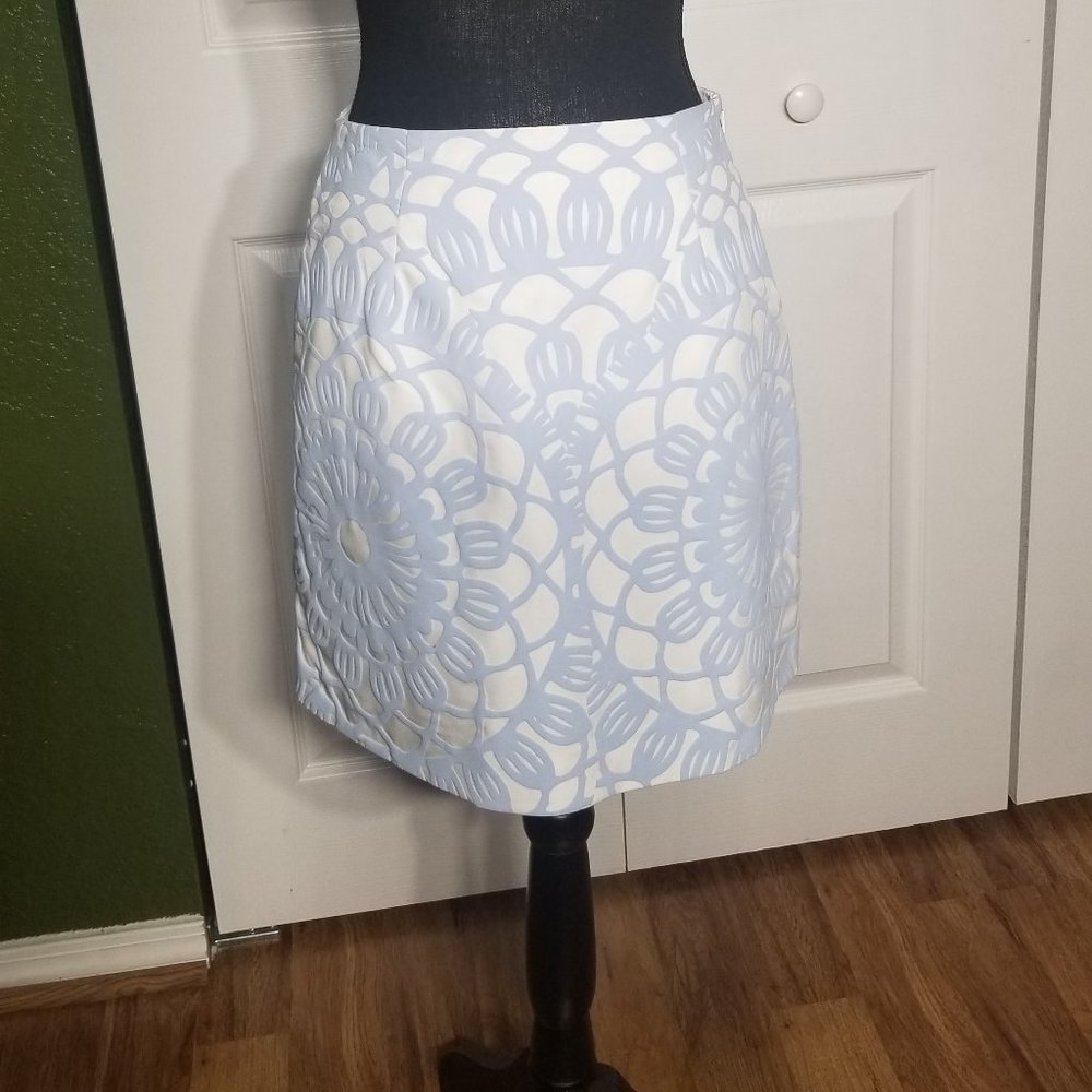 Elegant & Unique Mini Skirt